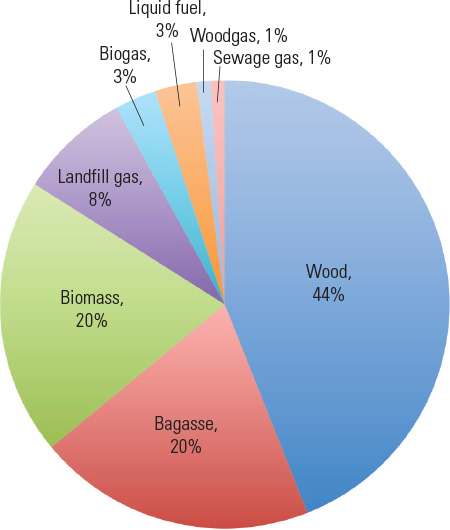 biomass cogeneration
